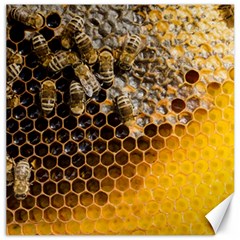 Honeycomb With Bees Canvas 12  X 12  by Vaneshart