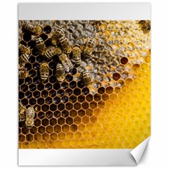 Honeycomb With Bees Canvas 11  X 14  by Vaneshart