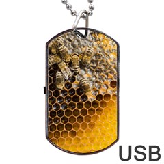 Honeycomb With Bees Dog Tag Usb Flash (two Sides) by Vaneshart