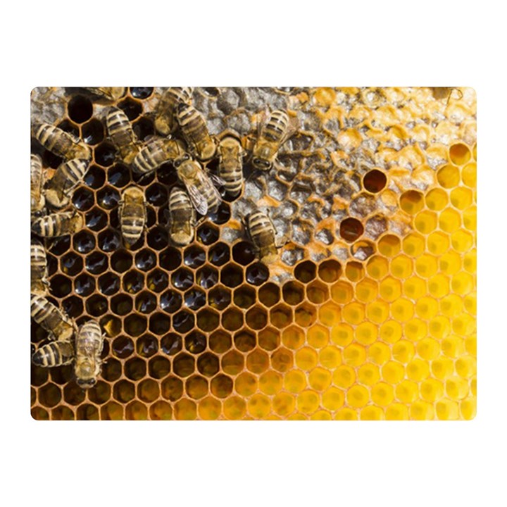 Honeycomb With Bees Double Sided Flano Blanket (Mini) 