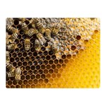 Honeycomb With Bees Double Sided Flano Blanket (Mini)  35 x27  Blanket Back