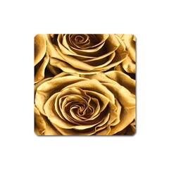 Gold Roses Square Magnet