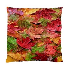 Spring Leafs Standard Cushion Case (one Side) by Sparkle