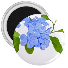 Botanical Floral Print Stylized Photo 3  Magnets by dflcprintsclothing