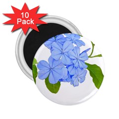 Botanical Floral Print Stylized Photo 2 25  Magnets (10 Pack) 