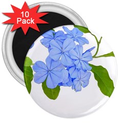 Botanical Floral Print Stylized Photo 3  Magnets (10 Pack)  by dflcprintsclothing