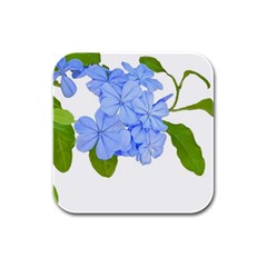 Botanical Floral Print Stylized Photo Rubber Square Coaster (4 Pack)  by dflcprintsclothing