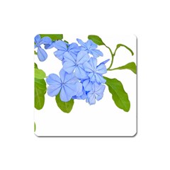 Botanical Floral Print Stylized Photo Square Magnet by dflcprintsclothing