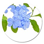 Botanical Floral Print Stylized Photo Magnet 5  (Round) Front