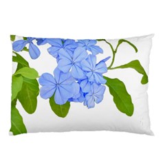 Botanical Floral Print Stylized Photo Pillow Case by dflcprintsclothing