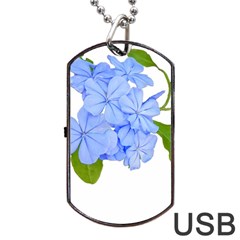 Botanical Floral Print Stylized Photo Dog Tag Usb Flash (one Side) by dflcprintsclothing