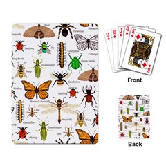 Insects Seamless Pattern Playing Cards Single Design (rectangle) by Vaneshart