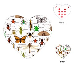 Insects Seamless Pattern Playing Cards Single Design (heart) by Vaneshart