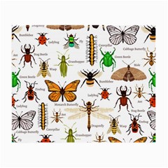 Insects Seamless Pattern Small Glasses Cloth (2 Sides) by Vaneshart