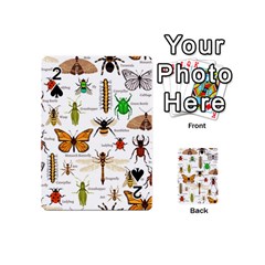 Insects Seamless Pattern Playing Cards 54 Designs (mini) by Vaneshart