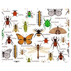 Insects Seamless Pattern Double Sided Flano Blanket (medium)  by Vaneshart