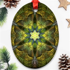 Fractal Fantasy Design Background Oval Ornament (two Sides)