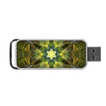 Fractal fantasy design background Portable USB Flash (Two Sides) Front