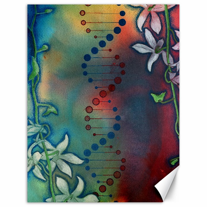 Flower Dna Canvas 18  x 24 