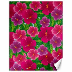 Background Cute Flowers Fuchsia With Leaves Canvas 12  X 16 