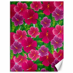 Background Cute Flowers Fuchsia With Leaves Canvas 36  X 48  by BangZart