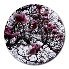 Saucer Magnolia Tree Round Mousepads