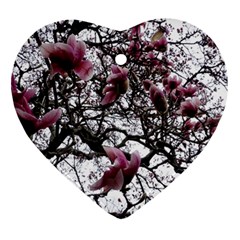 Saucer Magnolia Tree Ornament (heart) by okhismakingart