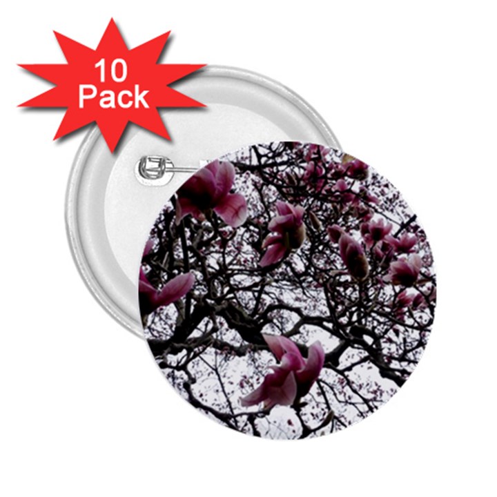 Saucer Magnolia Tree 2.25  Buttons (10 pack) 