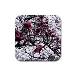 Saucer Magnolia Tree Rubber Coaster (Square)  Front