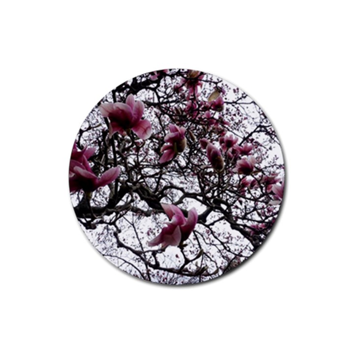 Saucer Magnolia Tree Rubber Coaster (Round) 