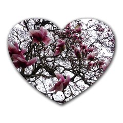 Saucer Magnolia Tree Heart Mousepads