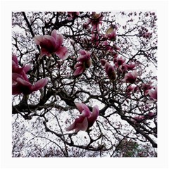 Saucer Magnolia Tree Medium Glasses Cloth by okhismakingart