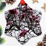 Saucer Magnolia Tree Ornament (Snowflake) Front