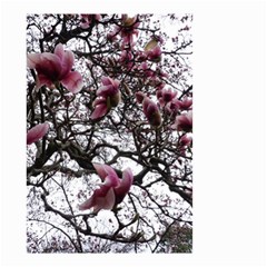 Saucer Magnolia Tree Small Garden Flag (Two Sides)