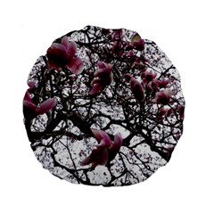 Saucer Magnolia Tree Standard 15  Premium Round Cushions