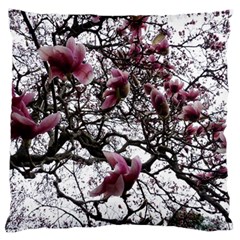 Saucer Magnolia Tree Standard Flano Cushion Case (One Side)