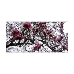 Saucer Magnolia Tree Yoga Headband