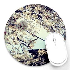 Plum Blossoms Round Mousepads by okhismakingart