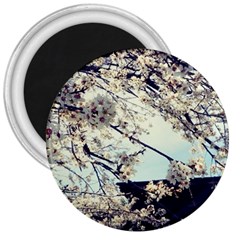 Plum Blossoms 3  Magnets by okhismakingart