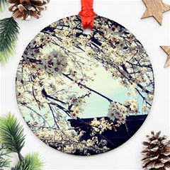 Plum Blossoms Ornament (round) by okhismakingart