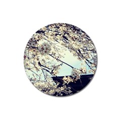 Plum Blossoms Magnet 3  (round) by okhismakingart