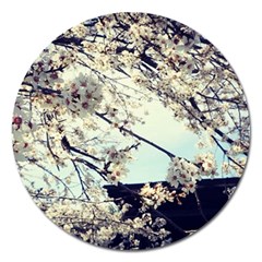 Plum Blossoms Magnet 5  (round) by okhismakingart