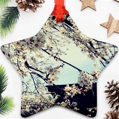 Plum Blossoms Star Ornament (two Sides)