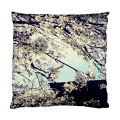 Plum Blossoms Standard Cushion Case (two Sides) by okhismakingart