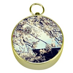 Plum Blossoms Gold Compasses by okhismakingart