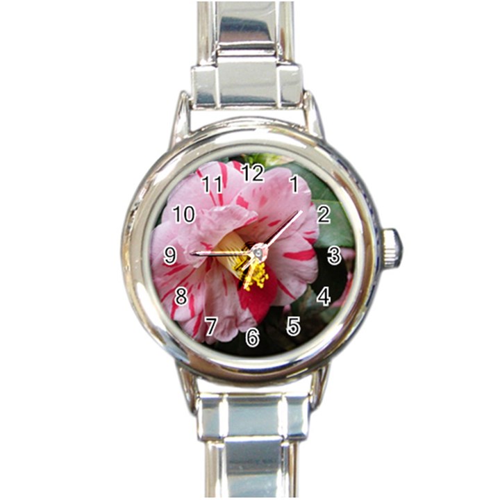 Striped Pink Camellia II Round Italian Charm Watch