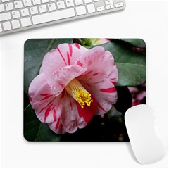 Striped Pink Camellia Ii Large Mousepads by okhismakingart