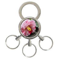 Striped Pink Camellia Ii 3-ring Key Chain by okhismakingart