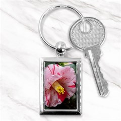 Striped Pink Camellia Ii Key Chain (rectangle) by okhismakingart