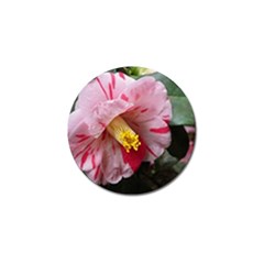 Striped Pink Camellia Ii Golf Ball Marker (4 Pack) by okhismakingart